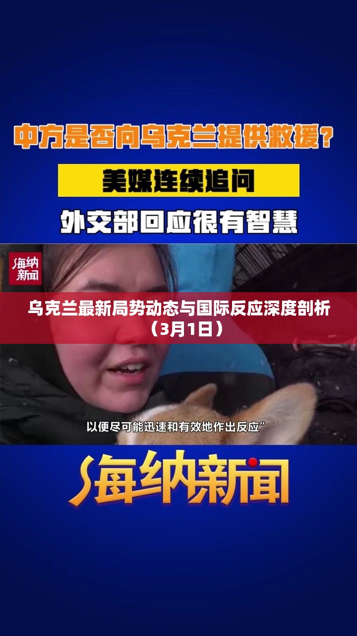 烏克蘭最新局勢動態(tài)與國際反應深度剖析（3月1日）