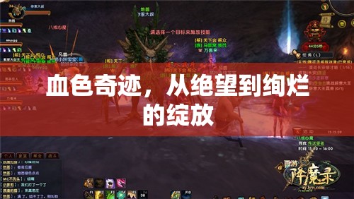 血色奇跡，從絕望到絢爛的綻放
