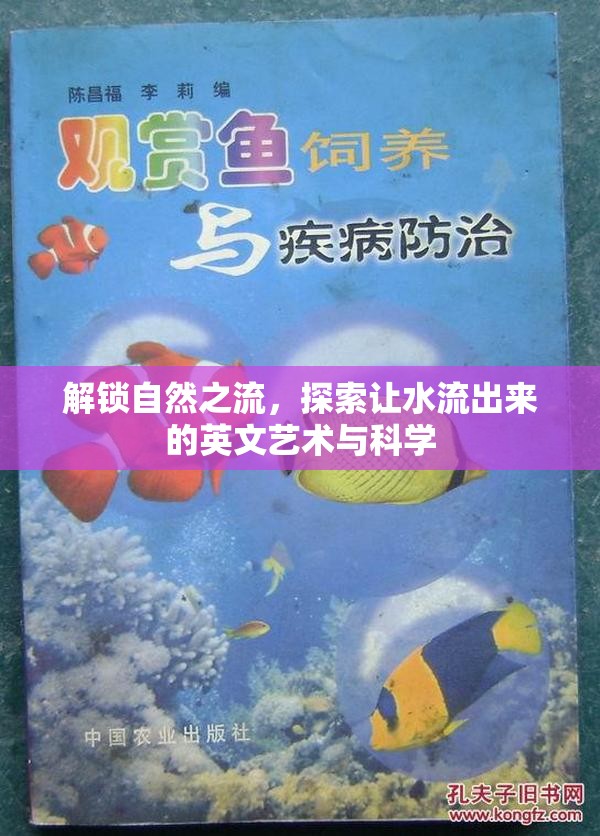解鎖自然之流，探索讓水流出來(lái)的英文藝術(shù)與科學(xué)