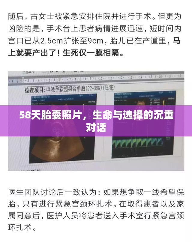 58天胎囊照片，生命與選擇的沉重對(duì)話