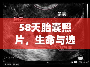 58天胎囊照片，生命與選擇的沉重對(duì)話