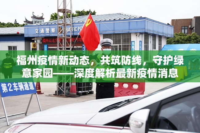 福州疫情新動(dòng)態(tài)，共筑防線，守護(hù)綠意家園——深度解析最新疫情消息