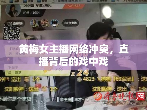 黃梅女主播網(wǎng)絡(luò)沖突，直播背后的戲中戲