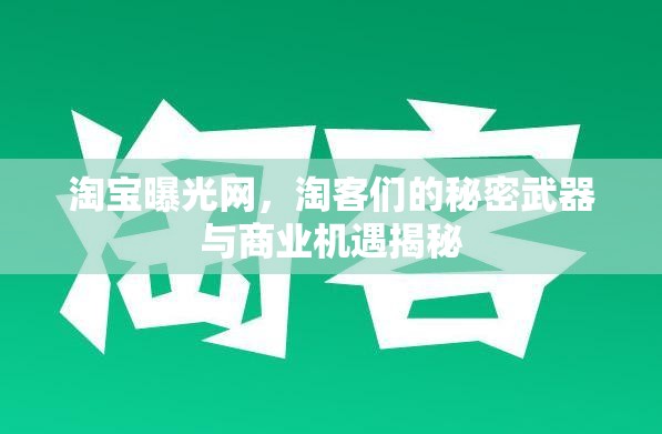 淘寶曝光網(wǎng)，淘客們的秘密武器與商業(yè)機遇揭秘