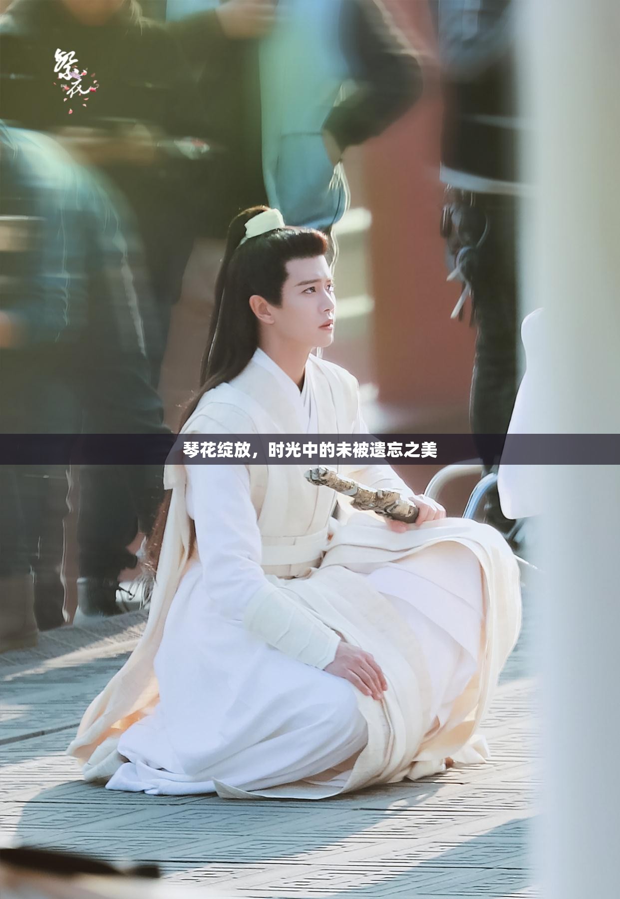 琴花綻放，時(shí)光中的未被遺忘之美