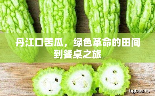 丹江口苦瓜，綠色革命的田間到餐桌之旅