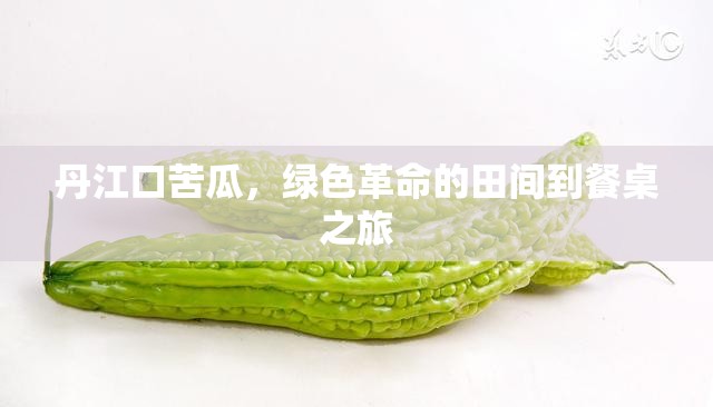 丹江口苦瓜，綠色革命的田間到餐桌之旅