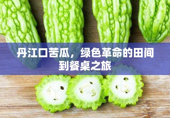 丹江口苦瓜，綠色革命的田間到餐桌之旅