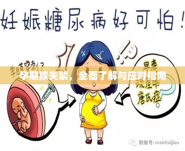 孕期尿失禁，全面了解與應(yīng)對(duì)指南