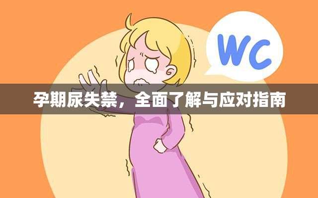孕期尿失禁，全面了解與應(yīng)對(duì)指南