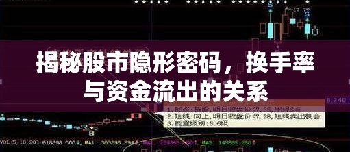 揭秘股市隱形密碼，換手率與資金流出的關(guān)系