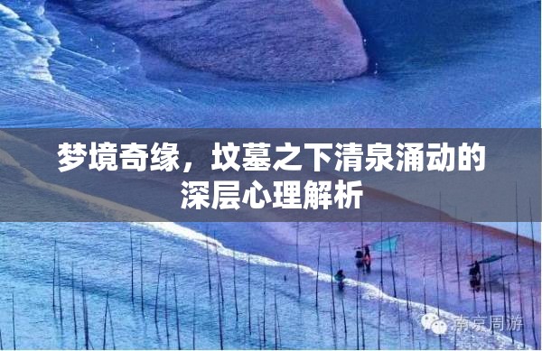 夢境奇緣，墳?zāi)怪虑迦縿拥纳顚有睦斫馕? title=