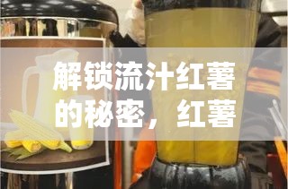 解鎖流汁紅薯的秘密，紅薯奇趣之旅