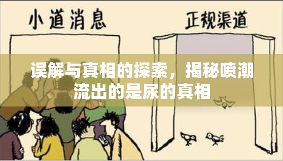 誤解與真相的探索，揭秘噴潮流出的是尿的真相