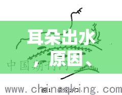 耳朵出水，原因、癥狀及應(yīng)對(duì)策略