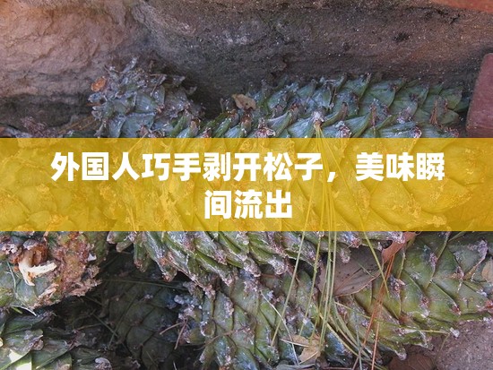 外國(guó)人巧手剝開松子，美味瞬間流出