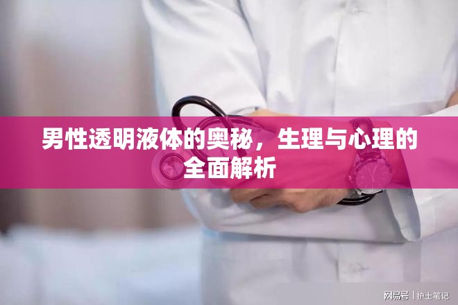 男性透明液體的奧秘，生理與心理的全面解析