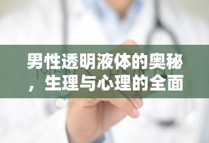 男性透明液體的奧秘，生理與心理的全面解析