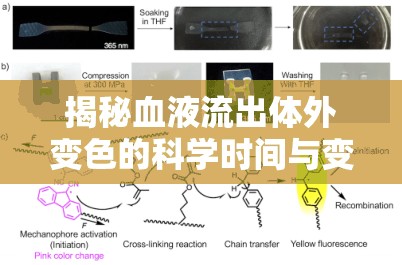 揭秘血液流出體外變色的科學(xué)時間與變化
