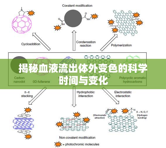 揭秘血液流出體外變色的科學(xué)時間與變化