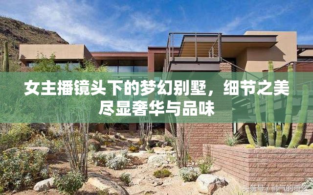 女主播鏡頭下的夢(mèng)幻別墅，細(xì)節(jié)之美盡顯奢華與品味