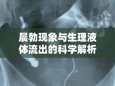 晨勃現(xiàn)象與生理液體流出的科學(xué)解析與健康指南