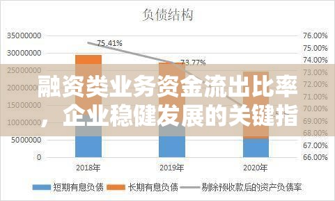 融資類業(yè)務(wù)資金流出比率，企業(yè)穩(wěn)健發(fā)展的關(guān)鍵指標(biāo)