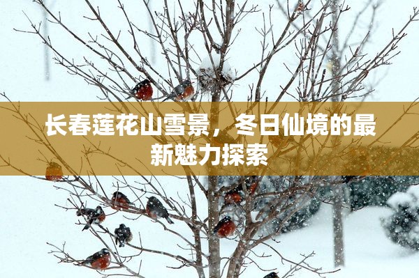 長春蓮花山雪景，冬日仙境的最新魅力探索