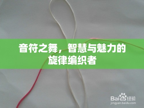 音符之舞，智慧與魅力的旋律編織者