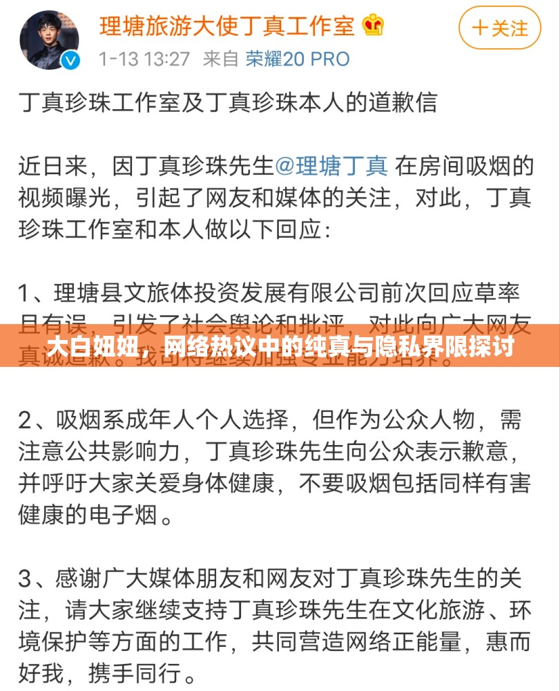 大白妞妞，網(wǎng)絡(luò)熱議中的純真與隱私界限探討