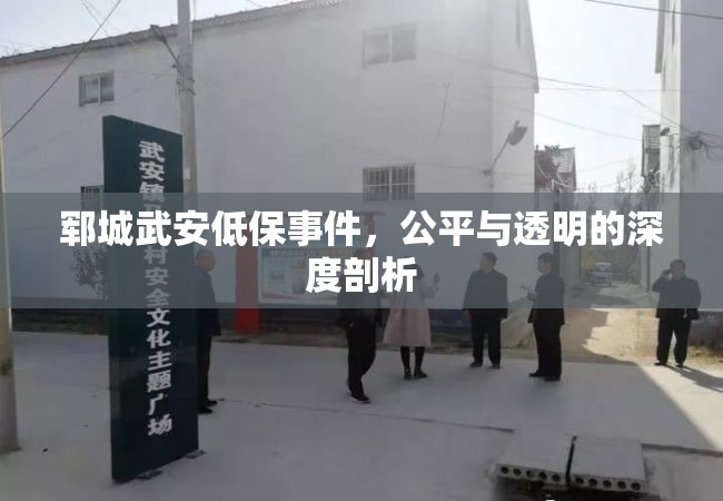 鄆城武安低保事件，公平與透明的深度剖析