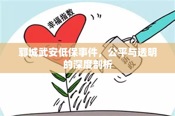 鄆城武安低保事件，公平與透明的深度剖析