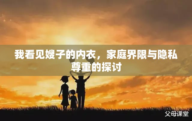 我看見嫂子的內(nèi)衣，家庭界限與隱私尊重的探討