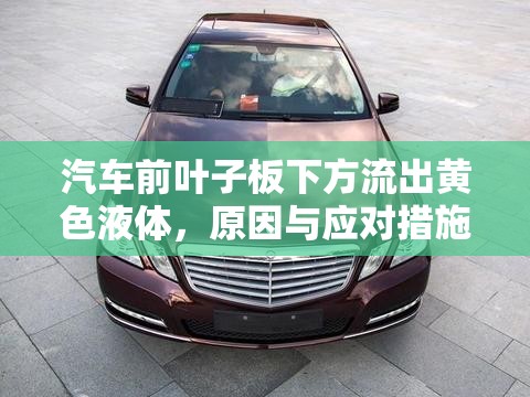 汽車前葉子板下方流出黃色液體，原因與應(yīng)對措施