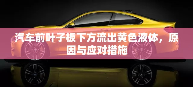 汽車前葉子板下方流出黃色液體，原因與應(yīng)對措施