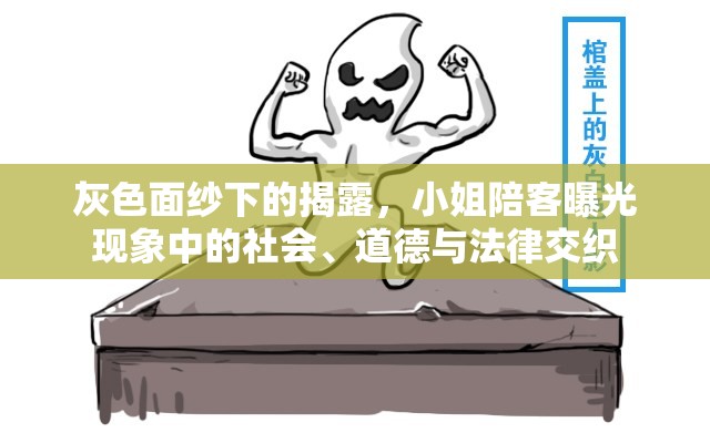灰色面紗下的揭露，小姐陪客曝光現(xiàn)象中的社會(huì)、道德與法律交織