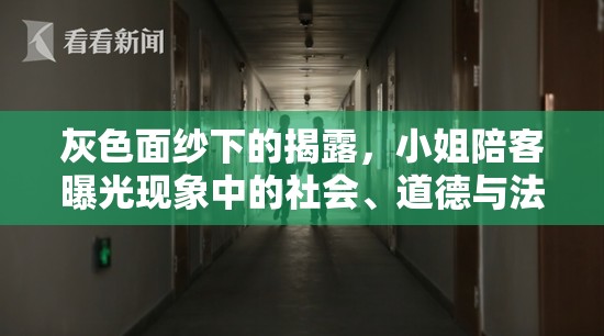 灰色面紗下的揭露，小姐陪客曝光現(xiàn)象中的社會(huì)、道德與法律交織