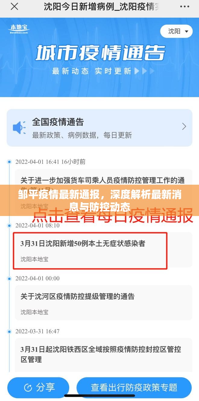 鄒平疫情最新通報(bào)，深度解析最新消息與防控動(dòng)態(tài)