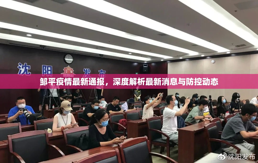 鄒平疫情最新通報(bào)，深度解析最新消息與防控動(dòng)態(tài)