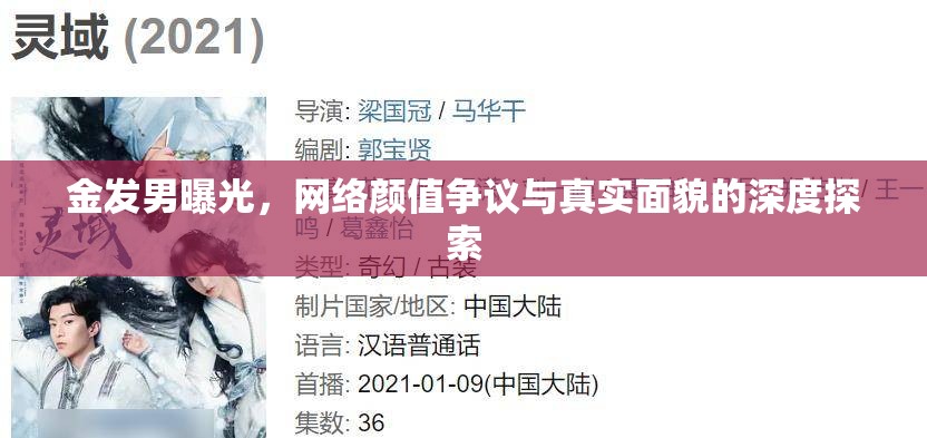 金發(fā)男曝光，網(wǎng)絡(luò)顏值爭議與真實面貌的深度探索