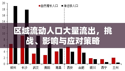 區(qū)域流動人口大量流出，挑戰(zhàn)、影響與應(yīng)對策略