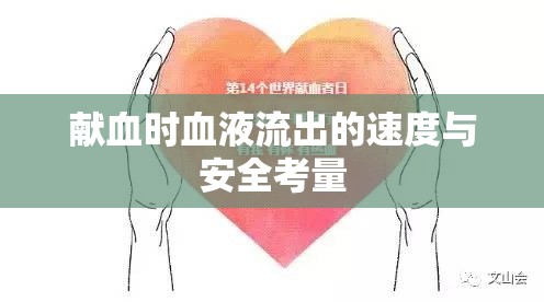 獻(xiàn)血時(shí)血液流出的速度與安全考量