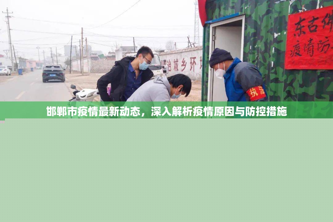 邯鄲市疫情最新動態(tài)，深入解析疫情原因與防控措施