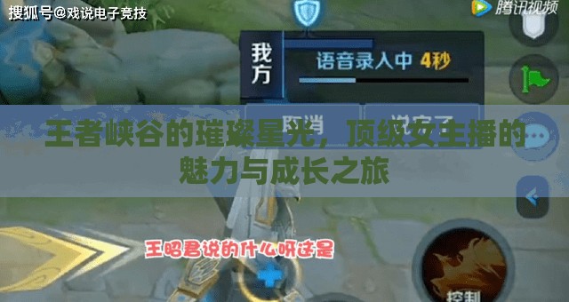 王者峽谷的璀璨星光，頂級(jí)女主播的魅力與成長(zhǎng)之旅