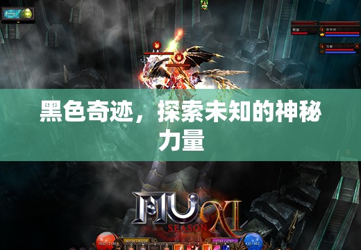 黑色奇跡，探索未知的神秘力量