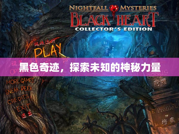黑色奇跡，探索未知的神秘力量