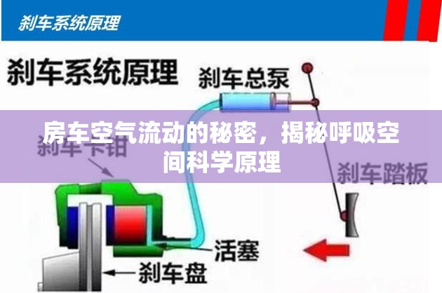 房車空氣流動的秘密，揭秘呼吸空間科學(xué)原理