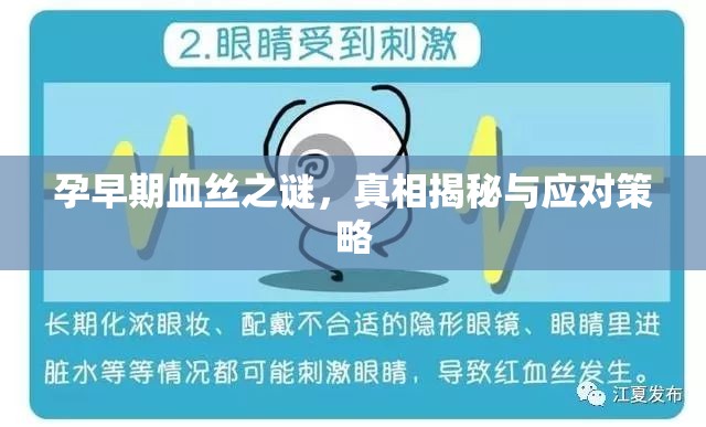 孕早期血絲之謎，真相揭秘與應(yīng)對策略