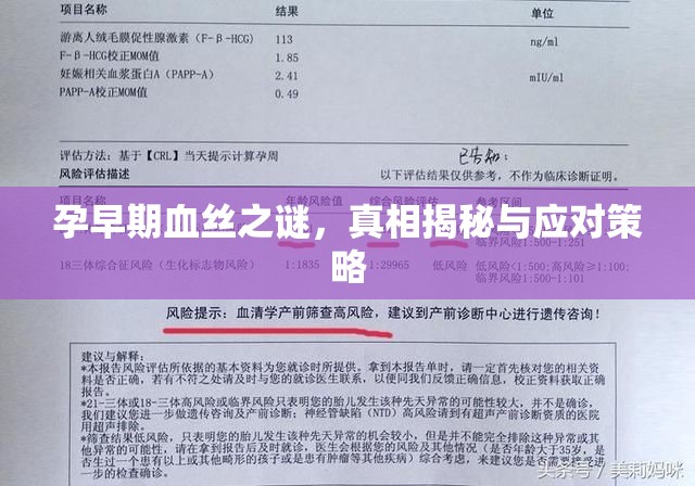 孕早期血絲之謎，真相揭秘與應(yīng)對策略
