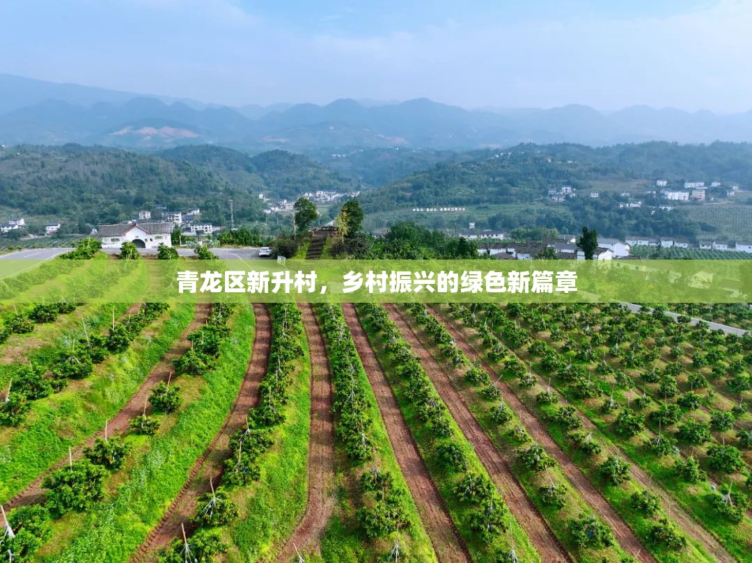 青龍區(qū)新升村，鄉(xiāng)村振興的綠色新篇章